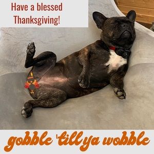 Happy Thanksgiving from Rikkisratpack!